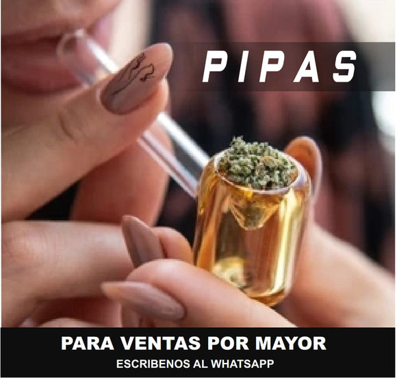 Pipa